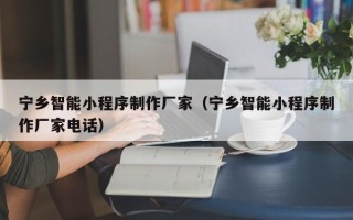 南宁宁乡智能小程序制作厂家（宁乡智能小程序制作厂家电话）